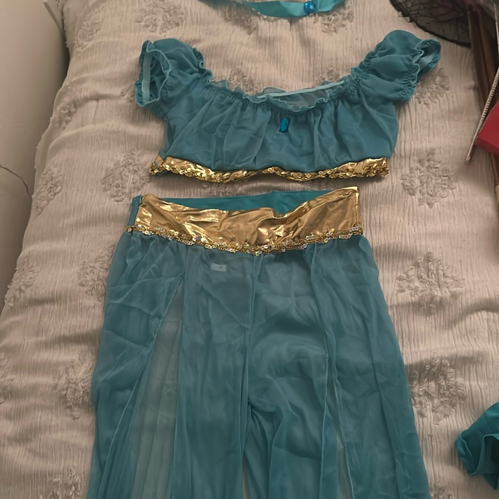 Adult Aladdin jasmine costume
